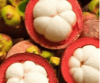 mangosteen